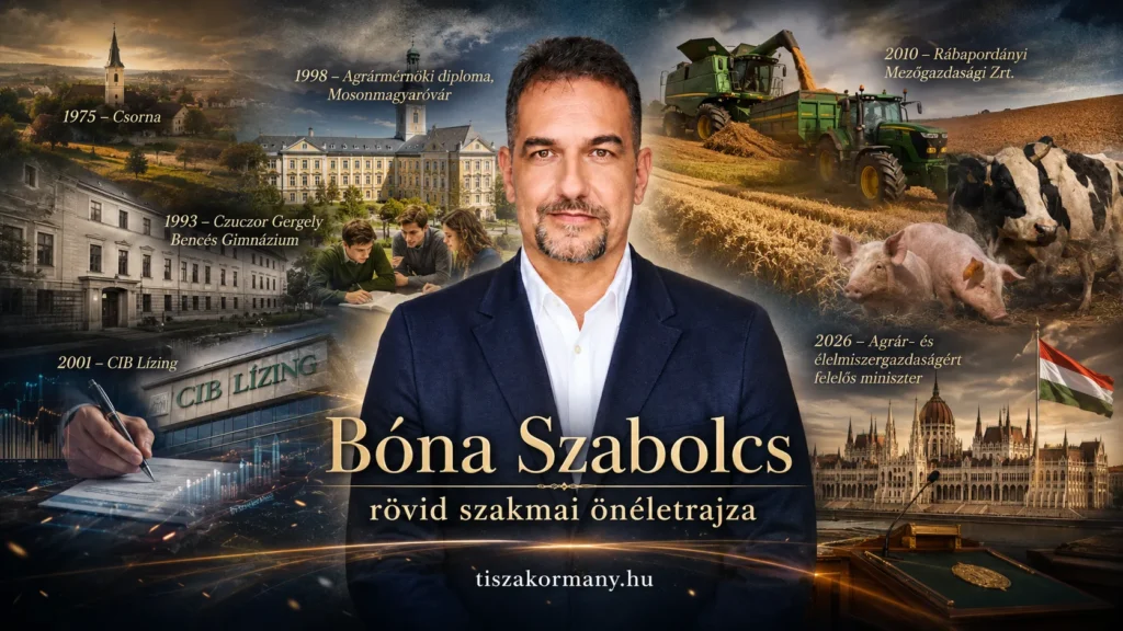 Bóna Szabolcs rövid szakmai önéletrajza